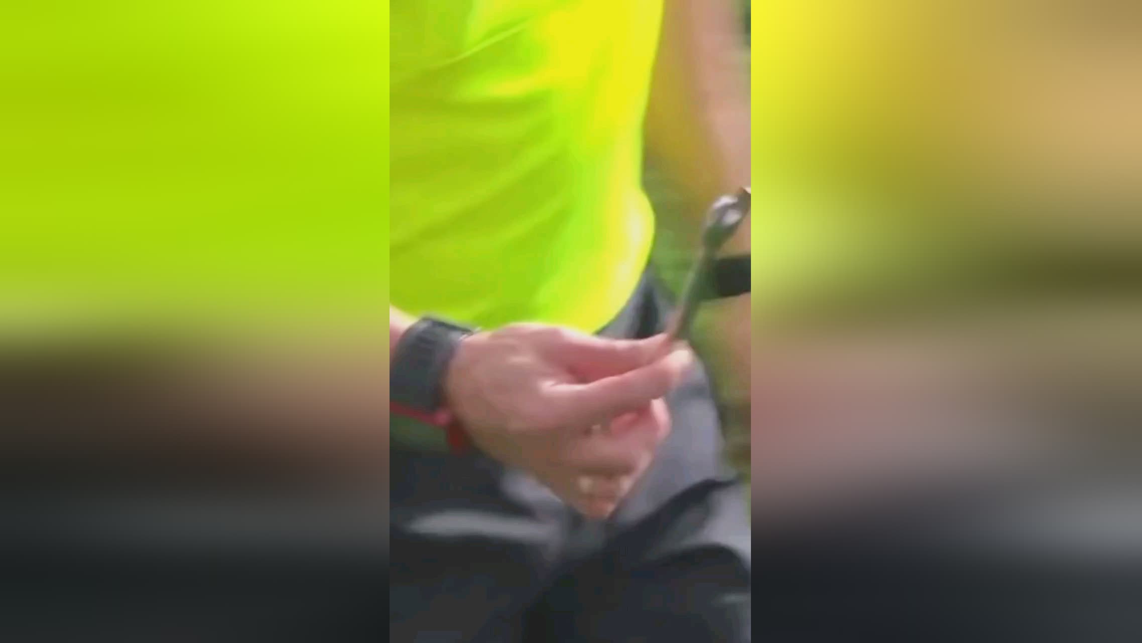 他的球迷